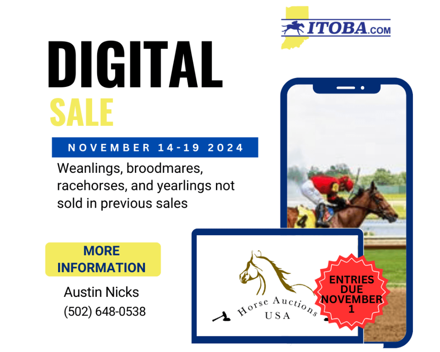 Image for ITOBA Fall Mixed DIGITAL SALE - ENTIRELY ONLINE! November 14th-19th