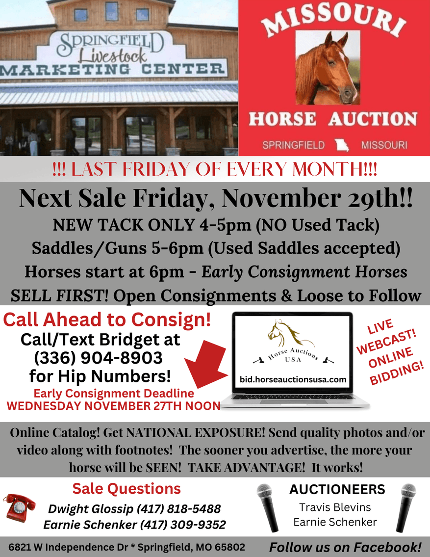 Image for Missouri Horse Auction FRIDAY NOVEMBER 29TH - Springfield, MO
