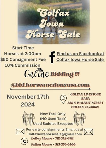 Image for Colfax Iowa Horse sale- Sunday November 17,2024