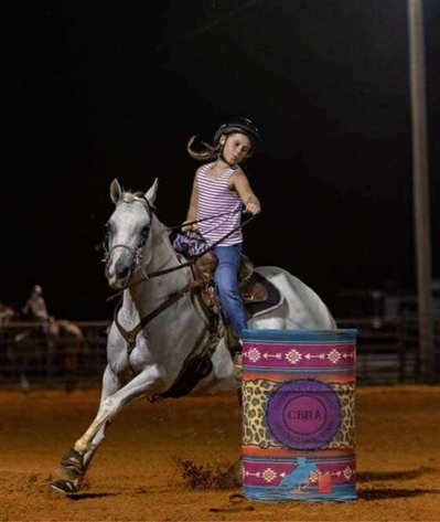 Image for Mize Horse Sale  SATURDAY NOVEMBER 16TH - Mize, Mississippi