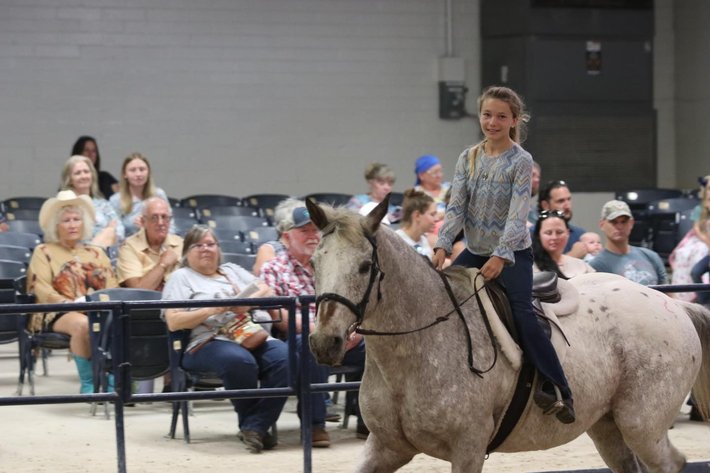 Image for Ocala Horse Sale January 4th - Ocala, Florida