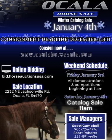 Image for Ocala Horse Sale January 4th - Ocala, Florida