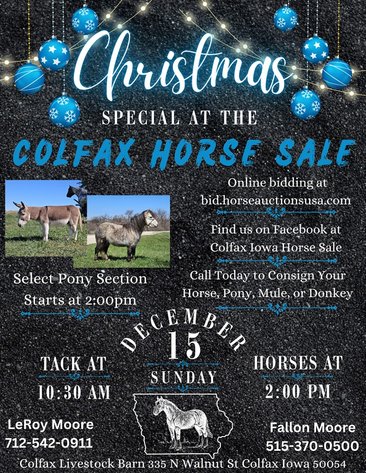 Image for Colfax Iowa Horse Sale - CHRISTMAS SPECIAL - Sunday, December 15th