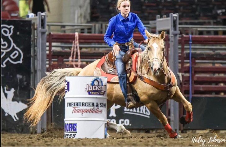 Image for Casino Classic NEW YEARS DAY All Breed Horse Sale - Oak Grove, Kentucky