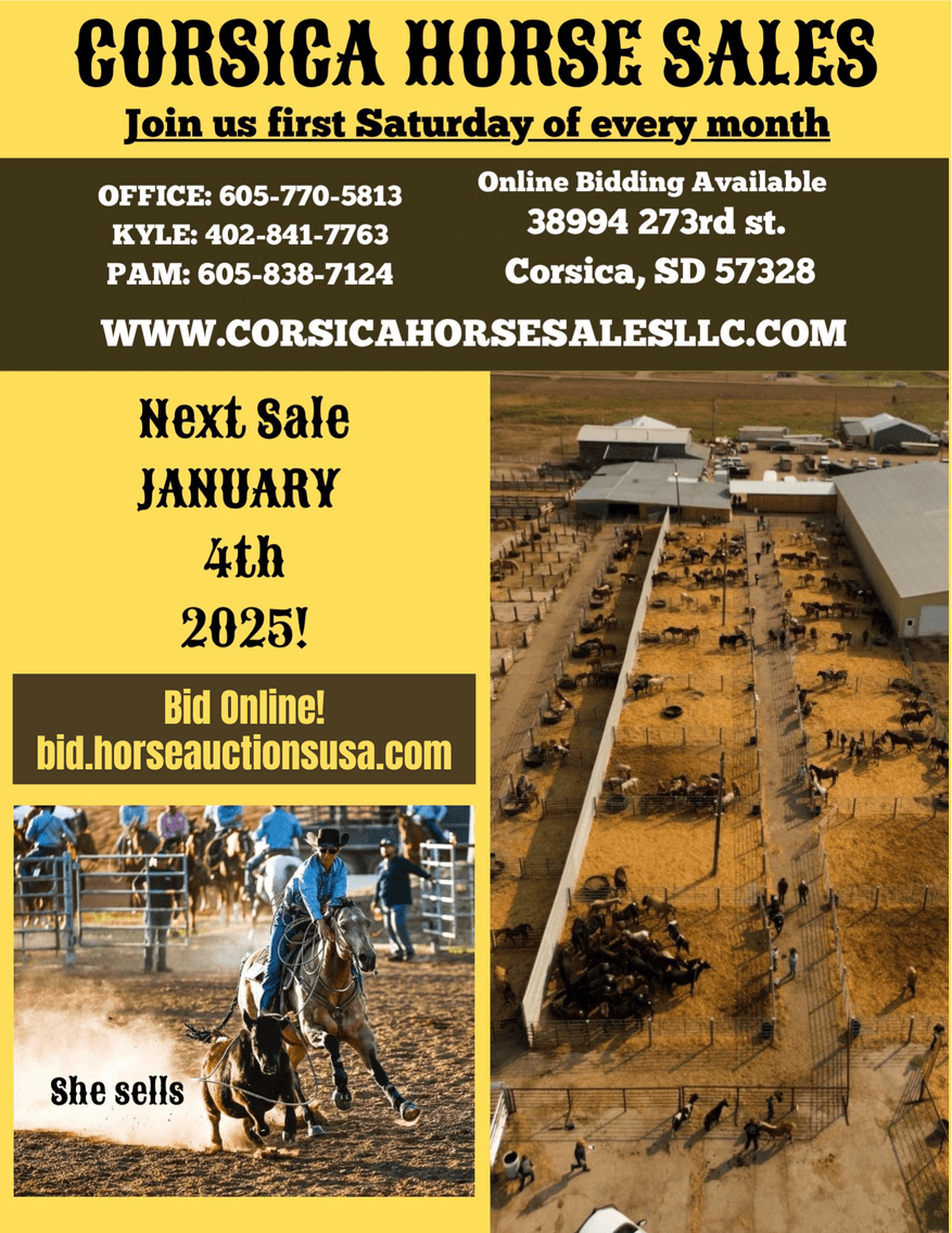 Image for Corsica Horse Sales Catalog Sale - SATURDAY, JANUARY 4TH - Corsica, South Dakota