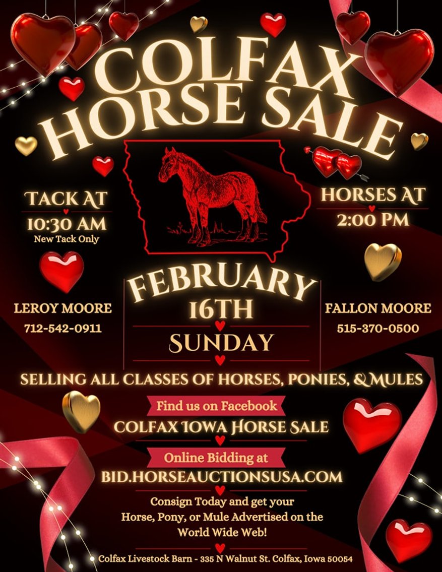 Image for Colfax Iowa Horse Sale - SUNDAY, FEBRUARY 16TH