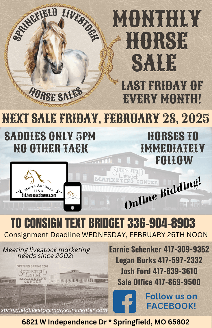 Image for Springfield Livestock Horse Sale FRIDAY FEBRUARY 28TH - Springfield, MO