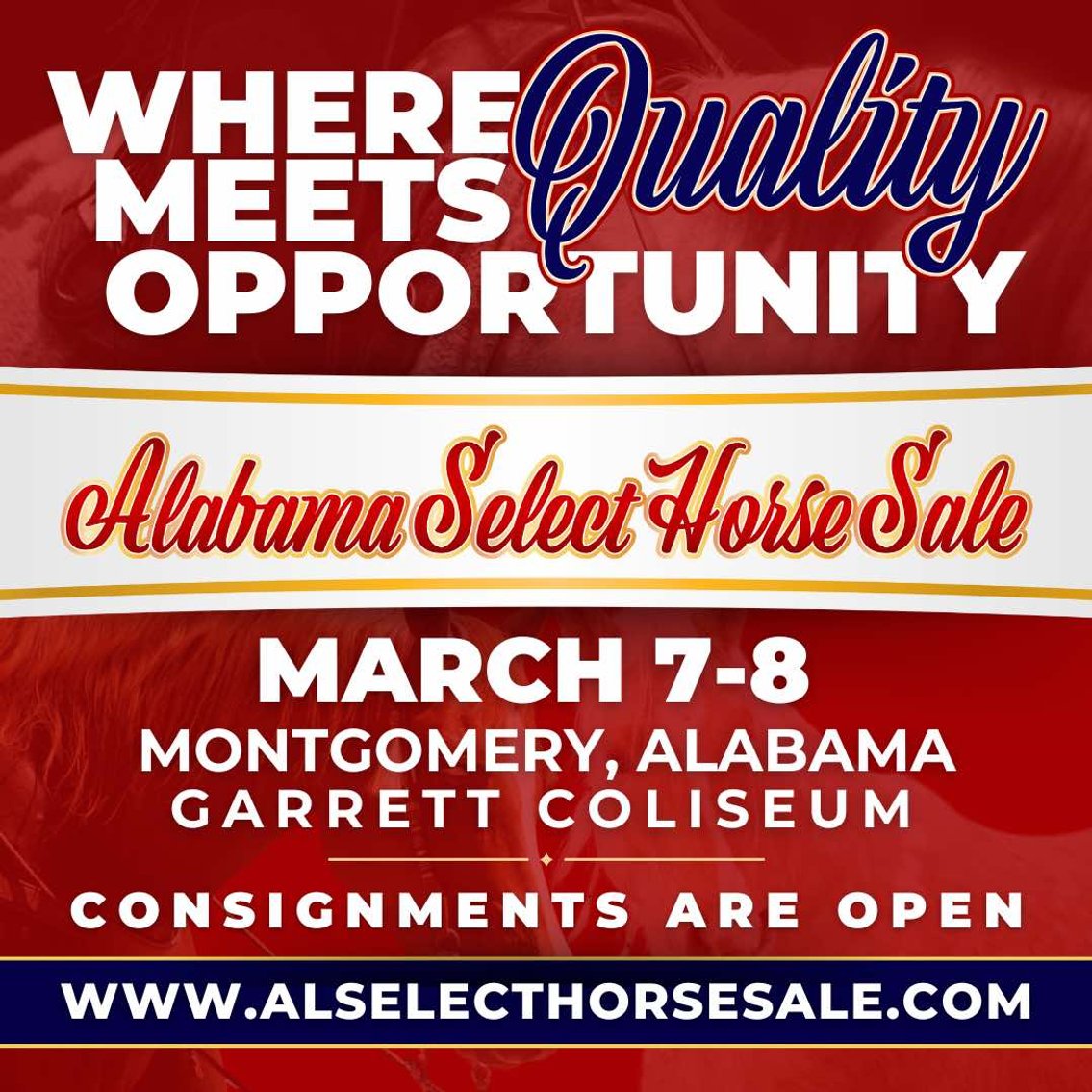 Image for Alabama Select Horse Sale - SATURDAY, MARCH 8TH - Montgomery, AL