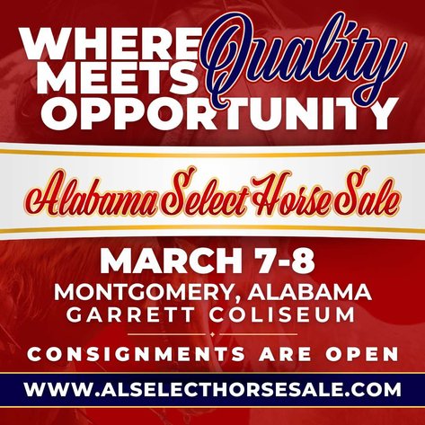 Image for Alabama Select Horse Sale - SATURDAY, MARCH 8TH - Montgomery, AL