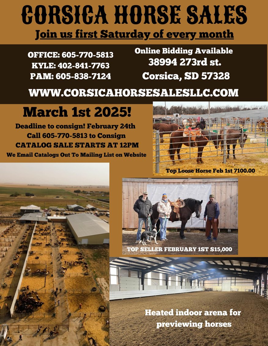 Image for Corsica Horse Sales Catalog Sale - SATURDAY, MARCH 1ST - Corsica, South Dakota