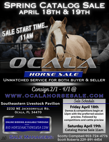 Image for Ocala Horse Sale - Saturday, April 19th - Ocala, Florida