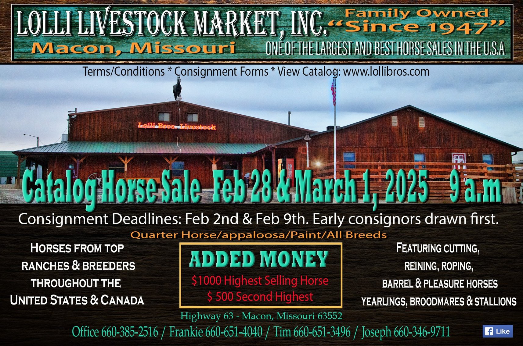 Image for Lolli Livestock Inc. Catalog Horse Sale - DAY ONE - FRIDAY, FEBRUARY 28TH - Macon, Missouri
