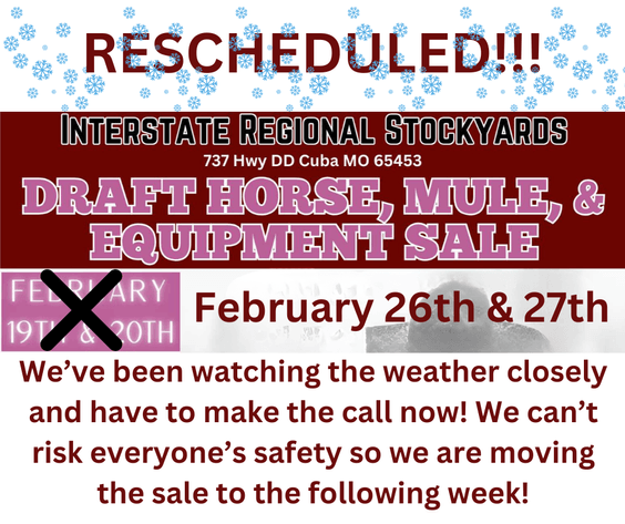Image for DATE CHANGE Interstate Regional Stockyards TWO DAY FEBRUARY SPECIAL - DAY 1 - WEDNESDAY FEBRUARY 26TH