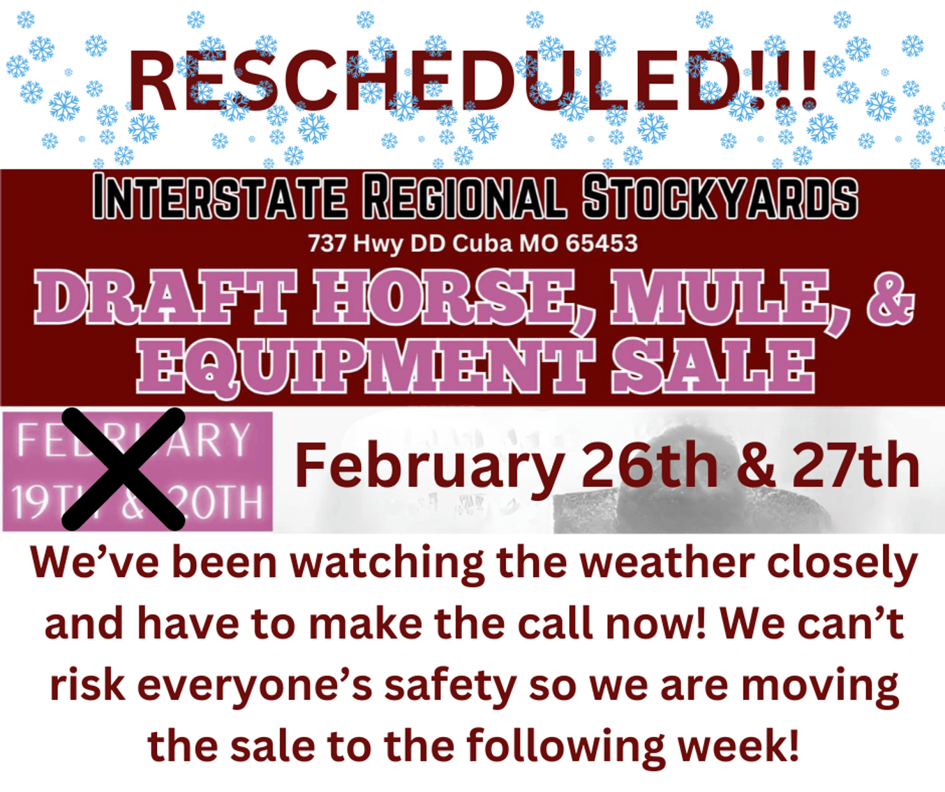 Image for DATE CHANGE Interstate Regional Stockyards TWO DAY FEBRUARY SPECIAL - DAY 2 - THURSDAY FEBRUARY 20TH