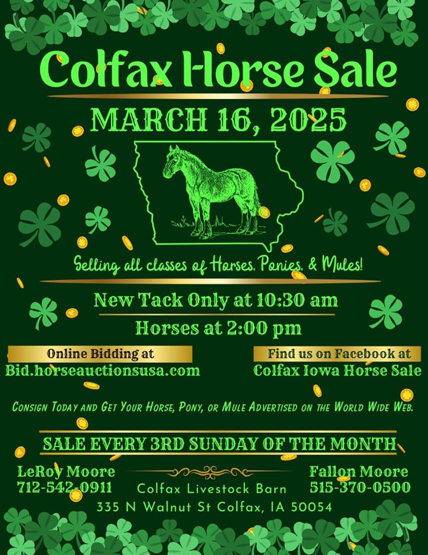 Image for Colfax Iowa Horse Sale - SUNDAY, MARCH 16TH