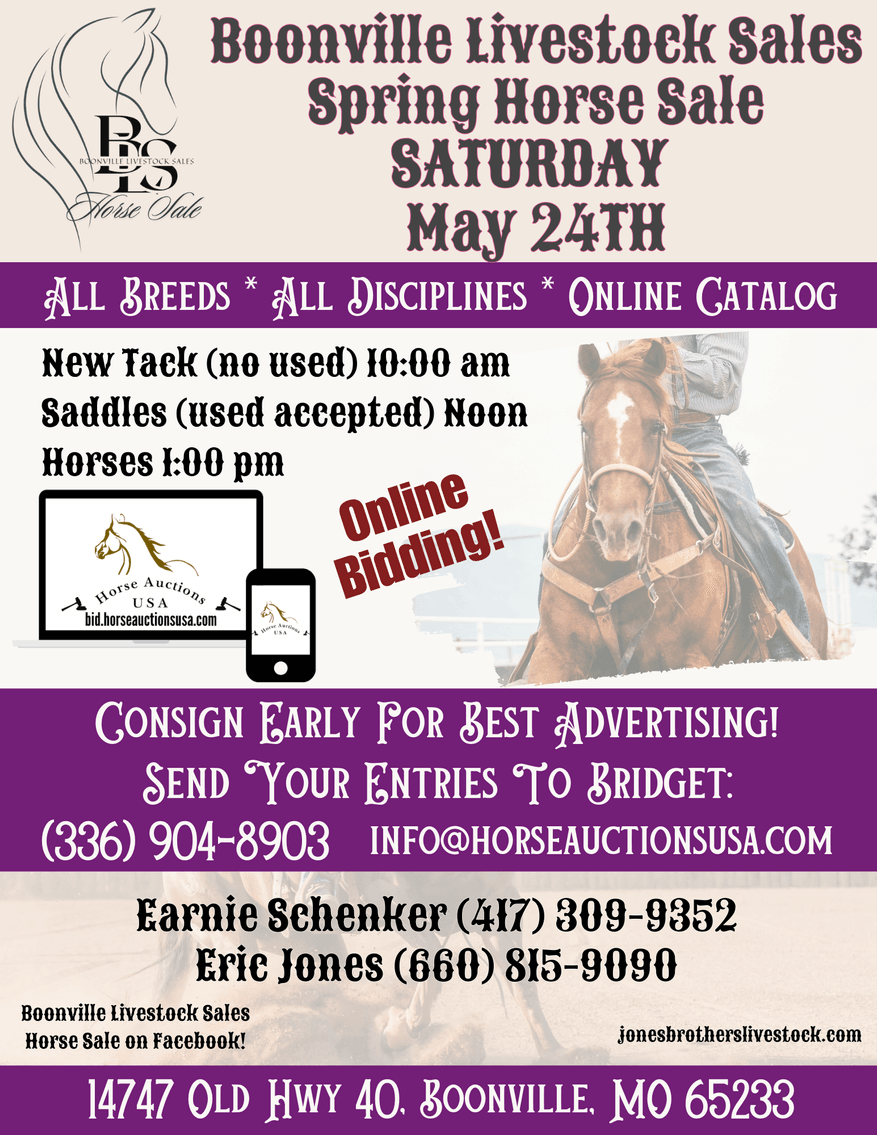 Image for Boonville Livestock Sales Spring Horse Sale - SATURDAY, MAY 24TH - Boonville, MO