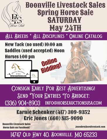 Image for Boonville Livestock Sales Spring Horse Sale - SATURDAY, MAY 24TH - Boonville, MO