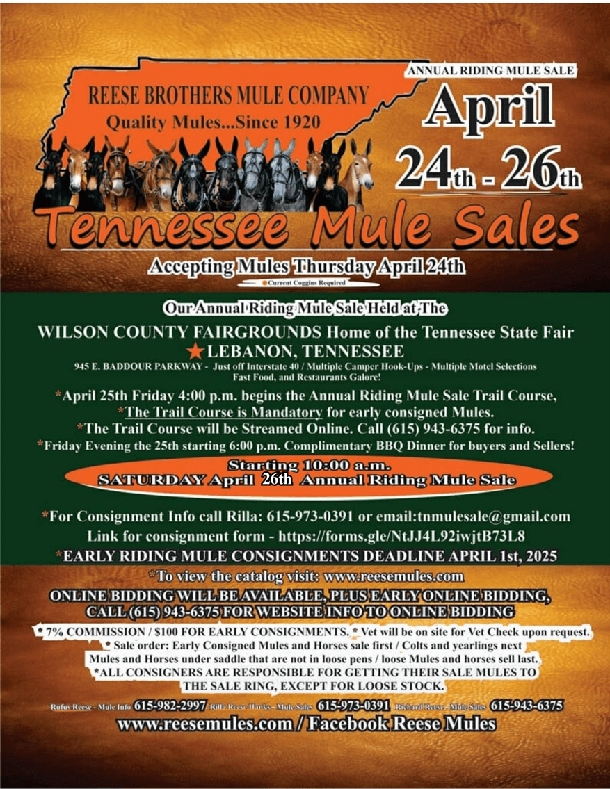Image for Tennessee Mule Sales - Annual Mule Sale - Reese Bros. Lebanon TN April 26th