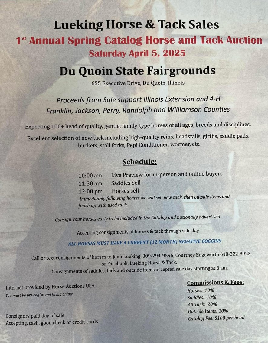 Image for Lueking Horse & Tack Sales Annual Spring Catalog Horse Sale - SATURDAY, APRIL 5TH - Du Quoin, Illinois