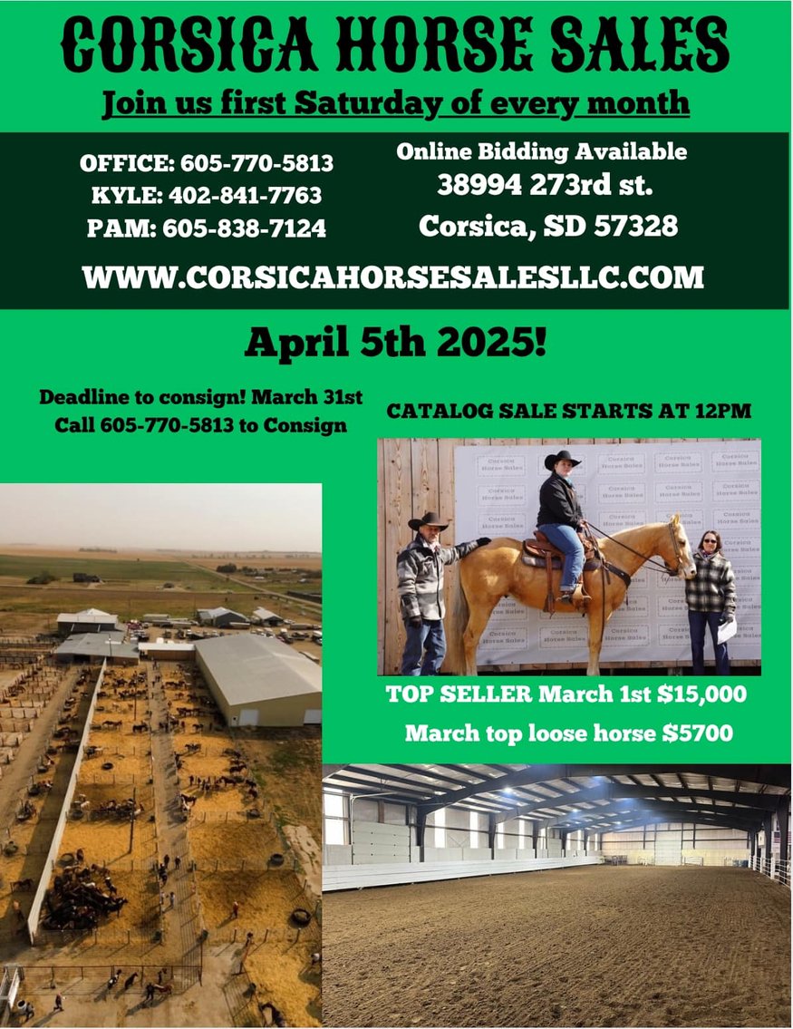 Image for Corsica Horse Sales Catalog Sale - SATURDAY, APRIL 5TH - Corsica, South Dakota
