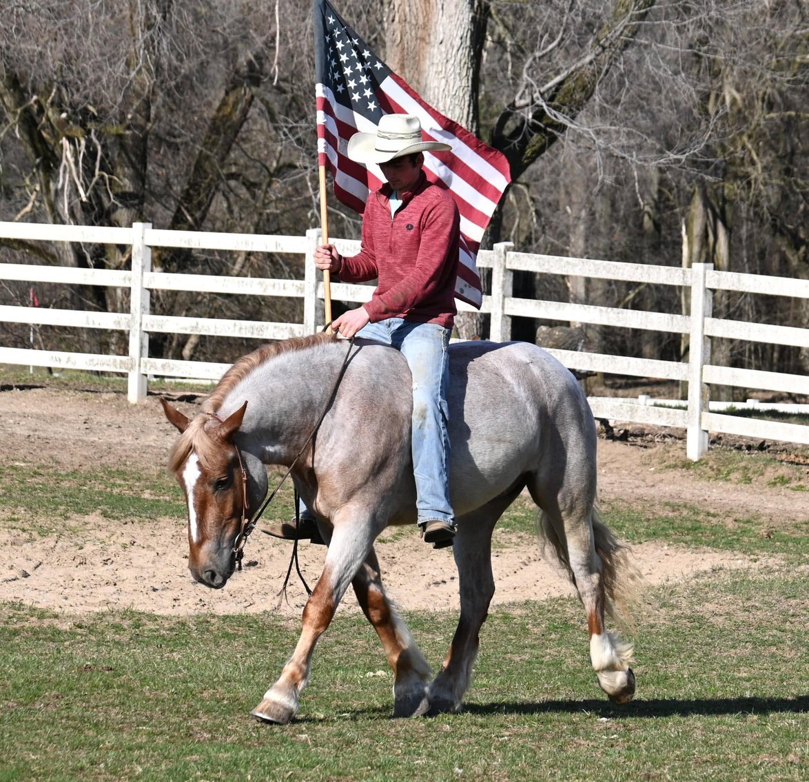 Image for NPEC Mount Up Spring Sale - New Paris, Indiana - SALE DAY SATURDAY, APRIL 5TH