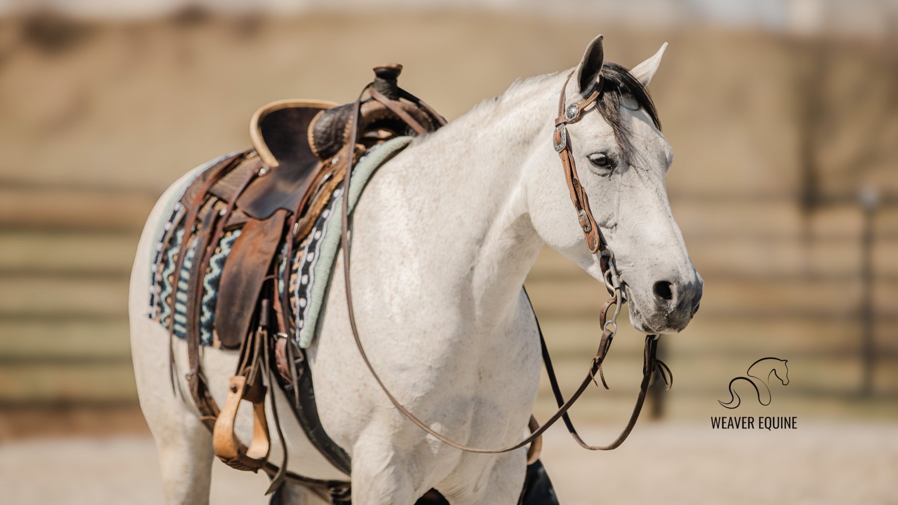 Image for NPEC Mount Up Spring Sale - New Paris, Indiana - SALE DAY SATURDAY, APRIL 5TH