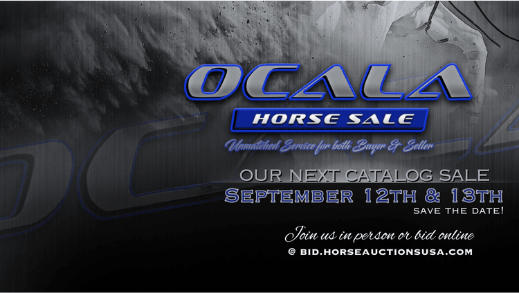 Image for Ocala Horse Sale - Saturday, September 13th - Ocala, Florida