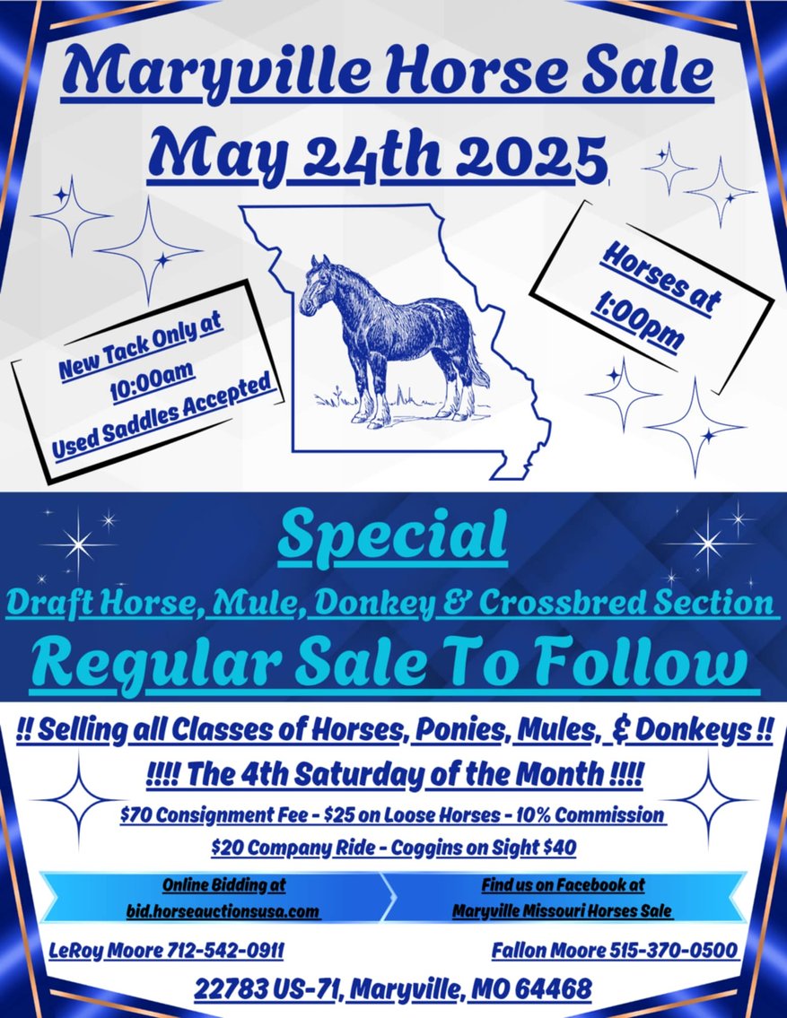 Image for Maryville Horse Sale - DRAFT, MULE, CROSSBRED, DONKEY Special Session! SATURDAY, MAY 24TH - Maryville, Missouri