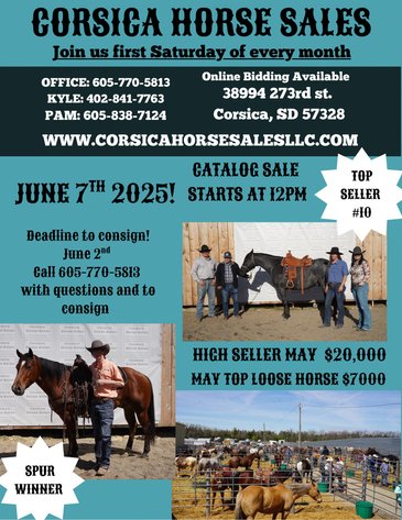 Image for Corsica Horse Sales Catalog Sale   SATURDAY, JUNE 7TH - Corsica, South Dakota