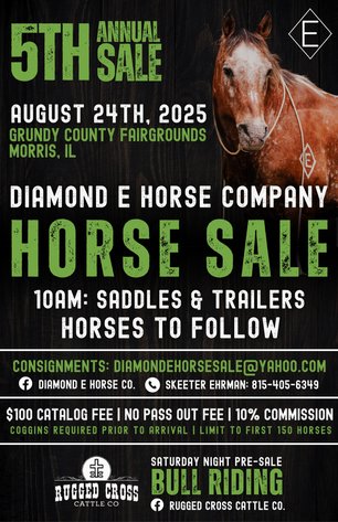 Image for Diamond E Horse Company 5th Annual Sale SUNDAY August 24th - Morris, Illinois
