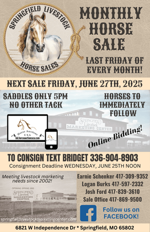 Image for Springfield Livestock Horse Sale FRIDAY JUNE 27TH - Springfield, MO
