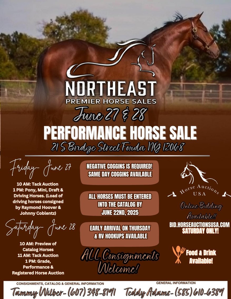 Image for Northeast Premier Horse Sales - SATURDAY, JUNE 28TH - Fonda, NY