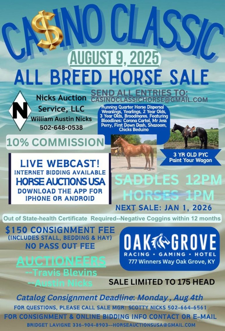 Image for Casino Classic All Breed Horse Sale - Oak Grove, Kentucky SATURDAY,  AUGUST 9TH