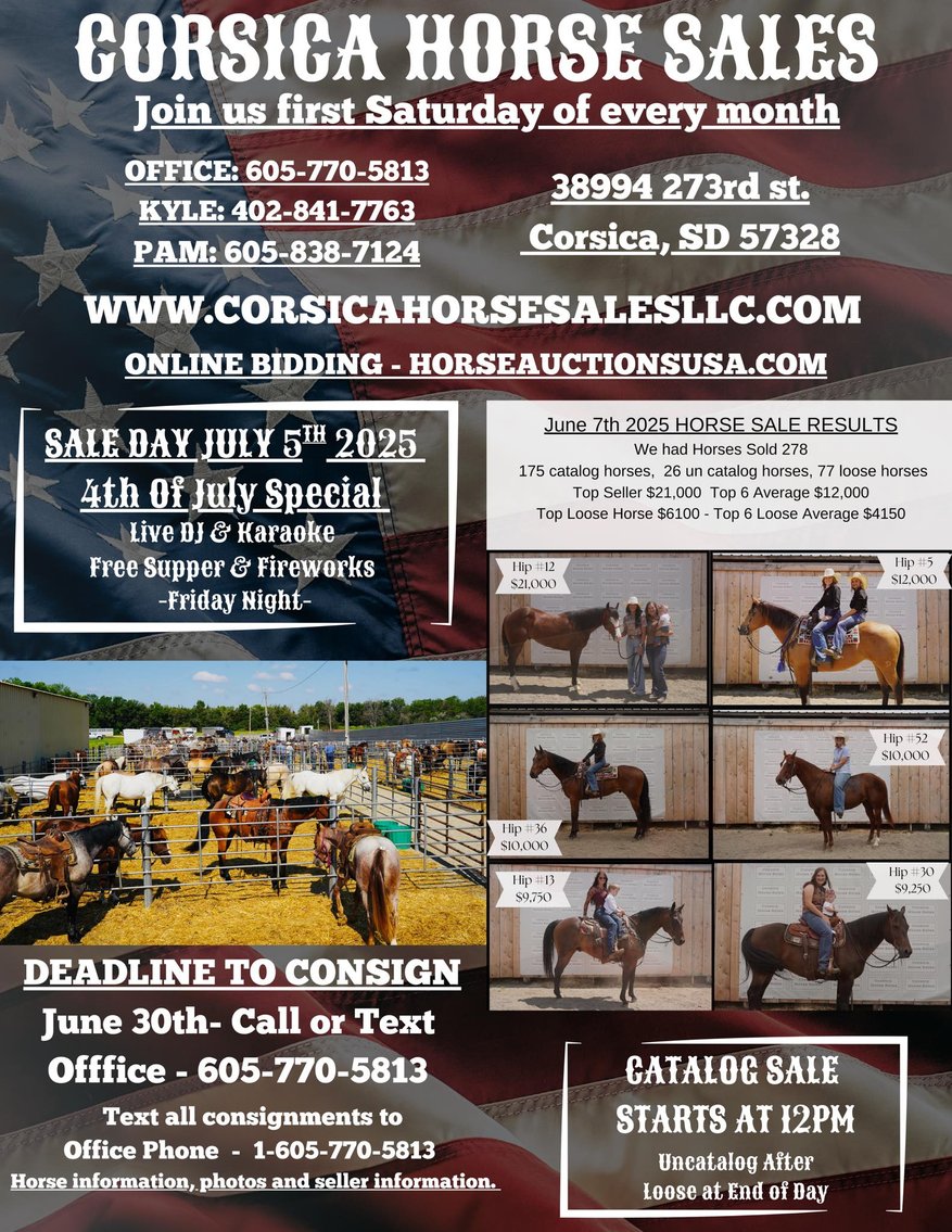 Image for Corsica Horse Sales Catalog Sale   SATURDAY, JULY 5TH - Corsica, South Dakota