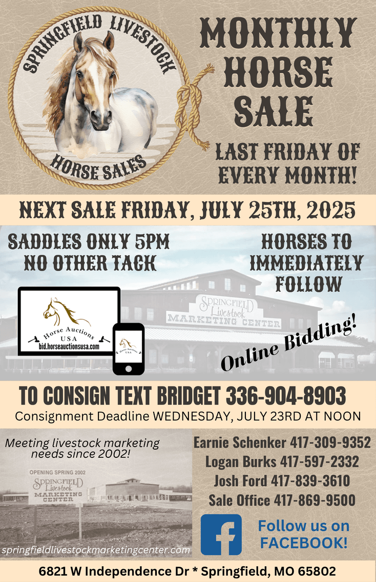 Image for Springfield Livestock Horse Sale FRIDAY JULY 25TH - Springfield, MO