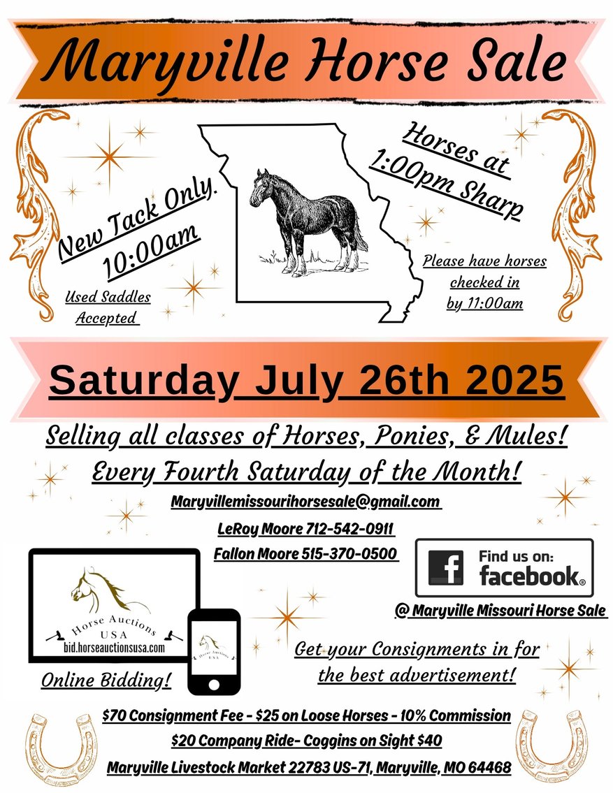 Image for Maryville Horse Sale - SATURDAY, JULY 26TH - Maryville, Missouri