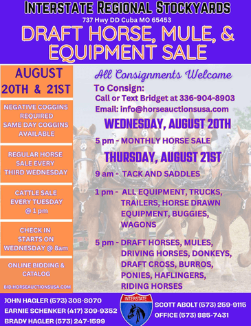 Image for Interstate Regional Stockyards TWO DAY AUGUST SPECIAL - DAY 1 - WEDNESDAY AUGUST 20TH