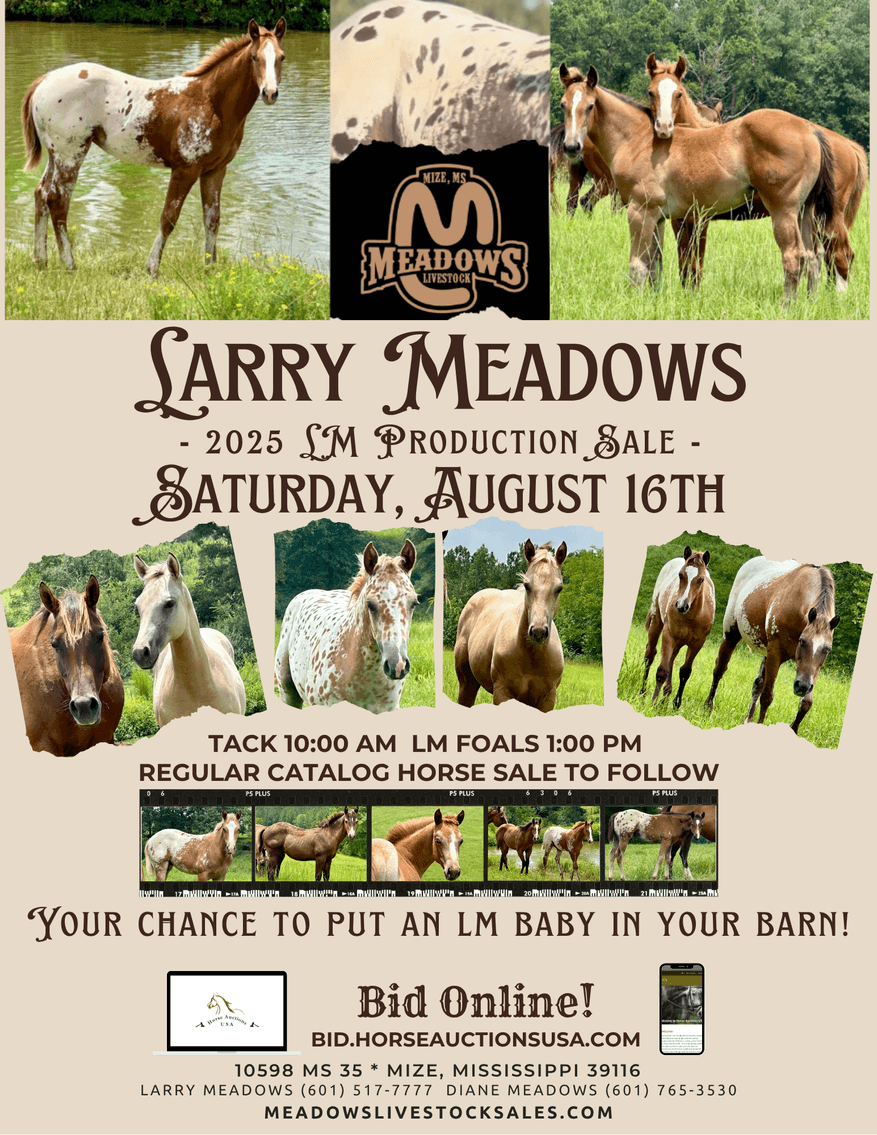 Image for Mize Horse Sale **Annual LM Production Sale - 
