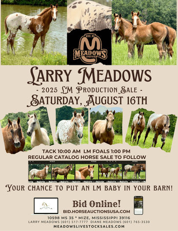 Image for Mize Horse Sale **Annual LM Production Sale - 