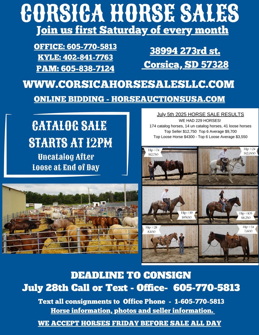Image for Corsica Horse Sales Catalog Sale   SATURDAY, AUGUST 2ND - Corsica, South Dakota