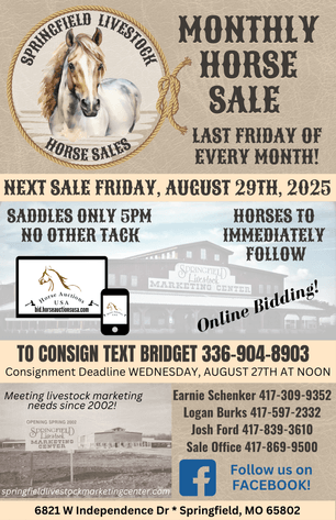 Image for Springfield Livestock Horse Sale FRIDAY AUGUST 29TH - Springfield, MO