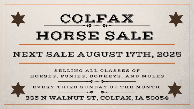 Image for Colfax Iowa Horse Sale - SUNDAY, AUGUST 17TH