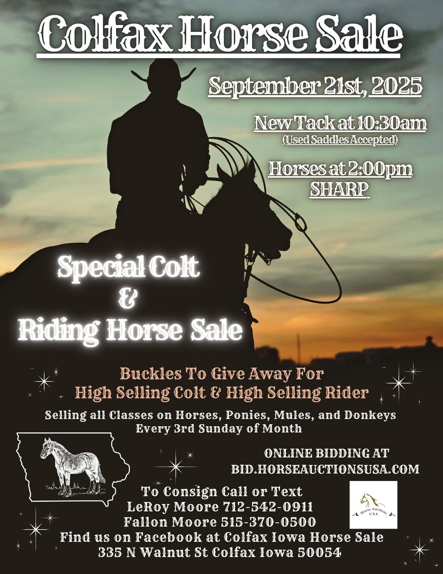 Image for Colfax Horse Sale SPECIAL COLT & RIDING HORSE SALE- SUNDAY, SEPTEMBER 21ST - Colfax, Iowa
