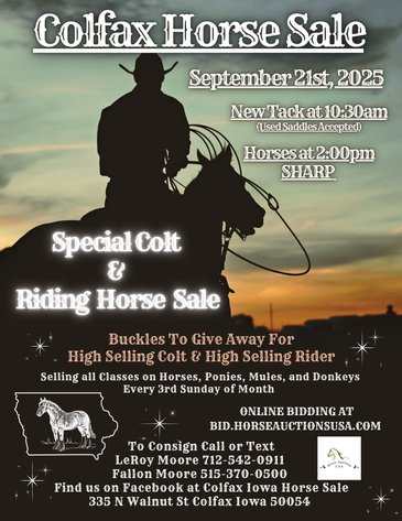 Image for Colfax Horse Sale SPECIAL COLT & RIDING HORSE SALE- SUNDAY, SEPTEMBER 21ST - Colfax, Iowa