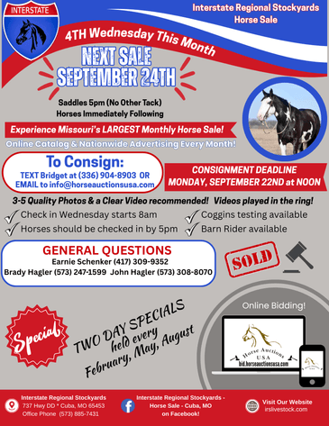 Image for Interstate Regional Stockyards Horse Sale - Cuba, Missouri WEDNESDAY SEPTEMBER 24TH