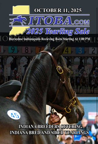 Image for ITOBA 2025 Fall Yearling Auction & Paddock Sale - SATURDAY OCTOBER 11TH - Shelbyville, Indiana
