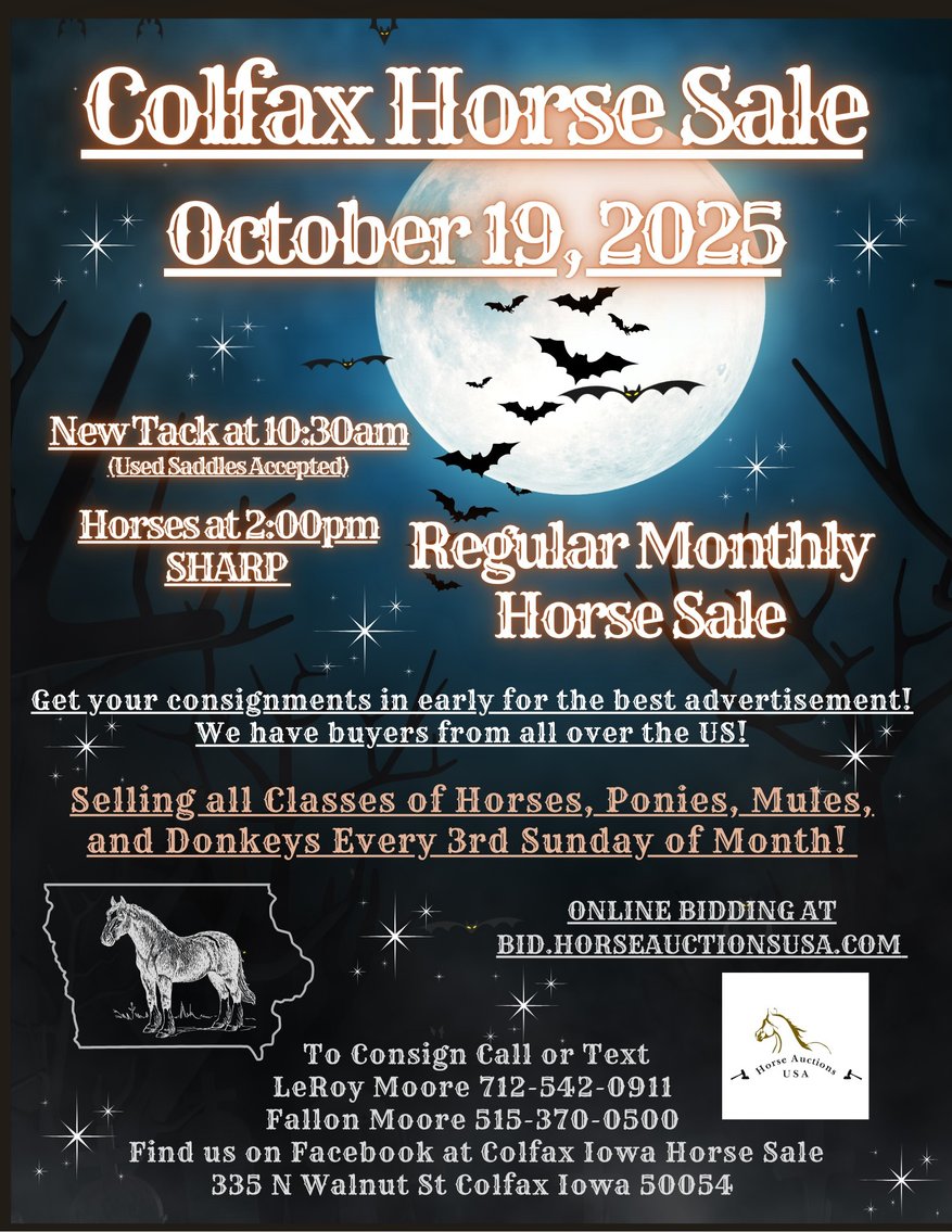 Image for Colfax Horse Sale - SUNDAY, OCTOBER 19TH - Colfax, Iowa