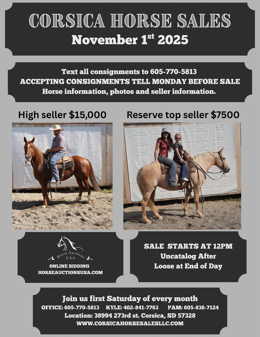 Image for Corsica Horse Sales Catalog Horse Sale   SATURDAY, NOVEMBER 1ST - Corsica, South Dakota