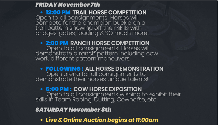 Image for Ocala Horse Sale - Saturday, November 8th - Ocala, Florida