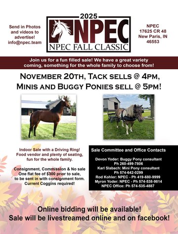 Image for NPEC Fall Classic Pony & Mini SPECIAL - New Paris, Indiana - SALE DAY THURSDAY, NOVEMBER 20TH